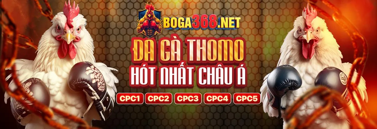 Phân tích chuyên sâu nền tảng x88003